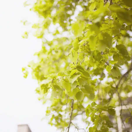 Klooster Nieuwkerk Hotel 3*