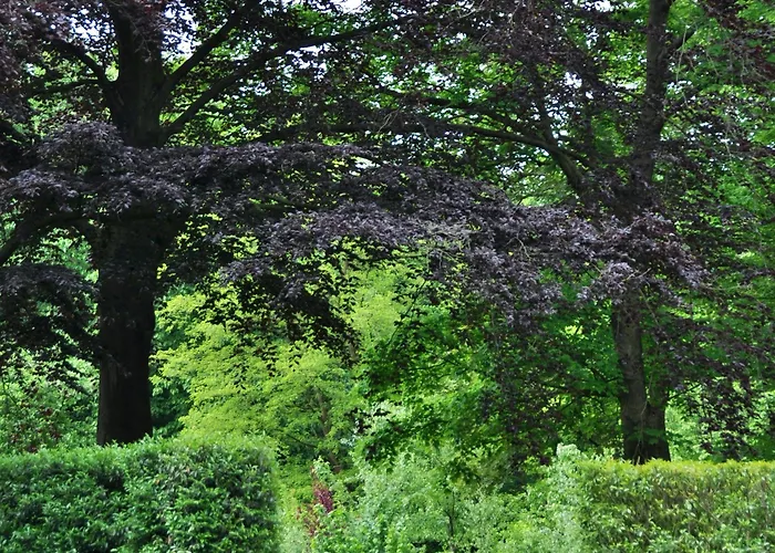 Klooster Nieuwkerk Hotel 3*