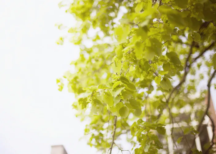 Klooster Nieuwkerk Hotel 3*