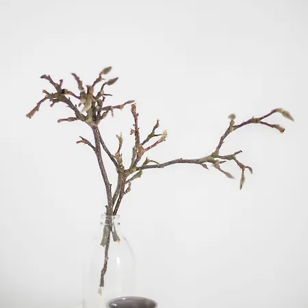 Klooster Nieuwkerk Goirle