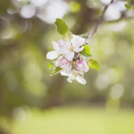 Klooster Nieuwkerk 3*